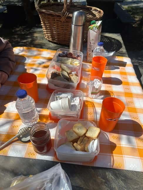 From Porto: Jeep Tour Ponte 516 Arouca + Vale do Paiva - Good To Know