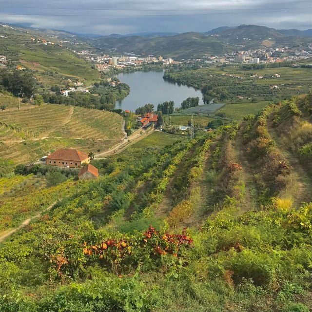 From Porto: luxury tour with full lunch at Quinta da Pacheca - Starting Your Journey: From Porto to Douro
