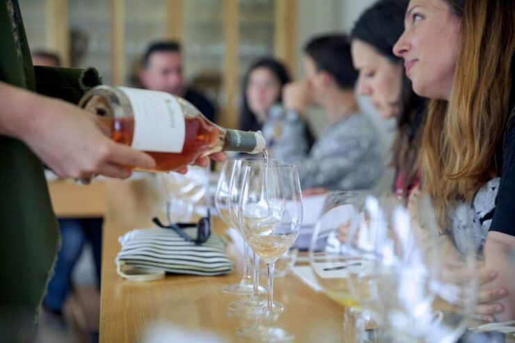 From Porto: Monção Wineries Tour With Wine Tastings - Experience Highlights