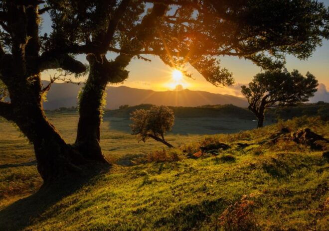 From Porto Moniz: Fanal 4x4 Tour - The Sum Up