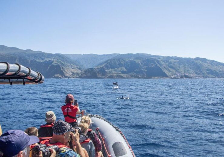 From Porto Moniz: Whale and Dolphin Watching Tour in Madeira - Good To Know