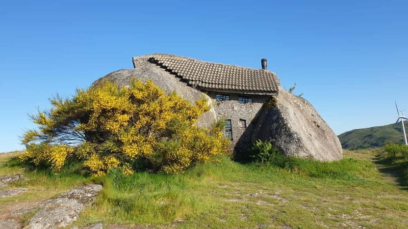 From Porto: Nature and Wine tasting Full-Day Tour - Value and Overall Impression