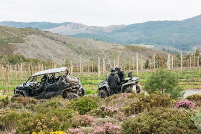 From Porto: Off-Road Buggy Adventure - Full Description