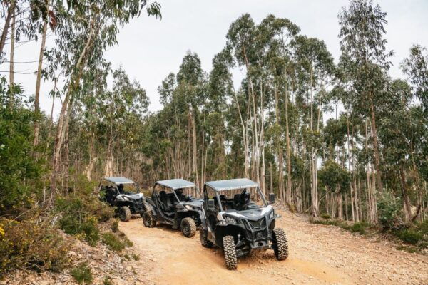 From Porto: Off-Road Buggy Adventure - Common Questions