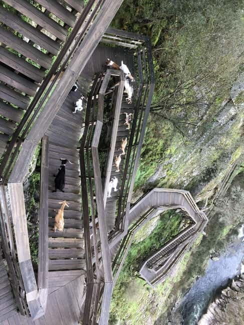 From Porto - Paiva Walkways and Suspension Bridge - Introduction: First Impressions of the Tour