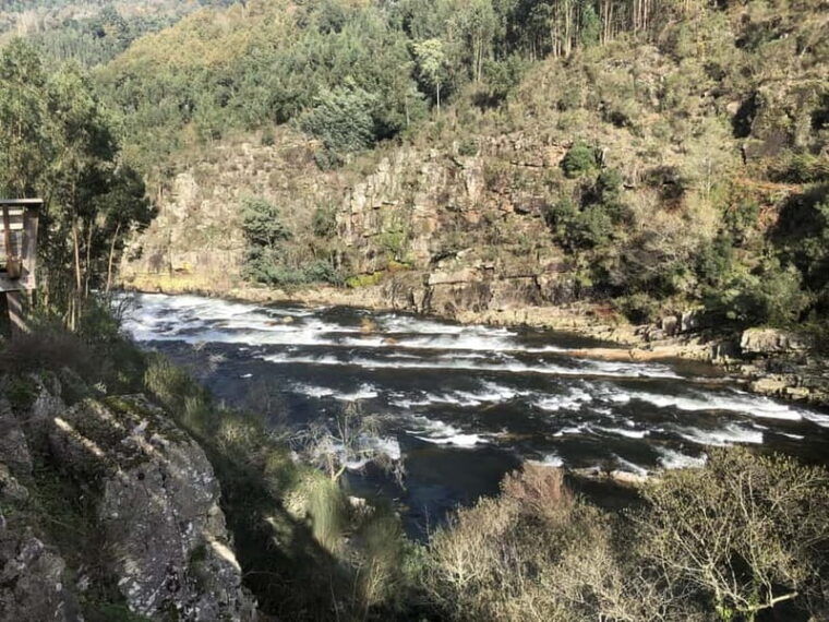From Porto - Paiva Walkways and Suspension Bridge - The Sum Up