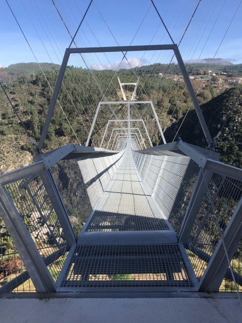 From Porto - Paiva Walkways and Suspension Bridge - Activity Details
