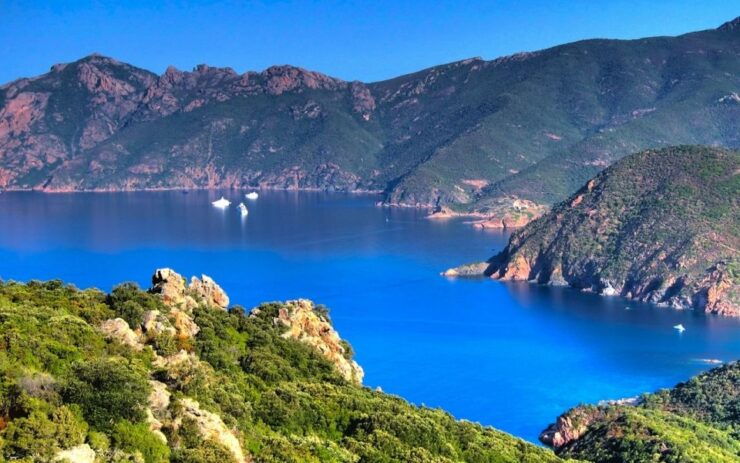 From Porto: Piana Creeks and Scandola Semi-Rigid Boat Tour - Inclusions