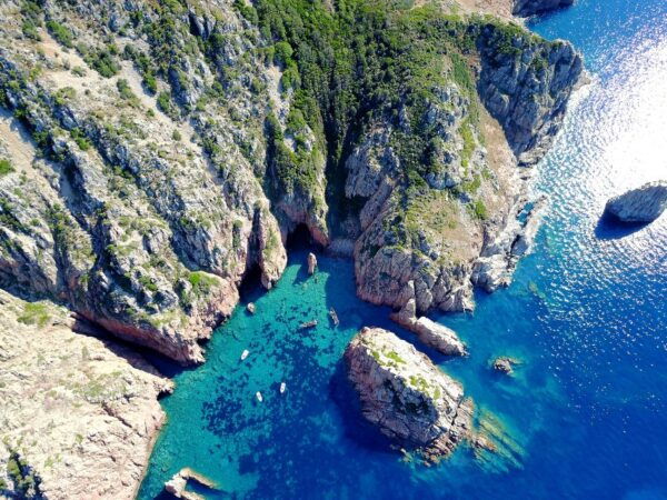 From Porto: Piana Creeks, Scandola on Family Boat - The Sum Up