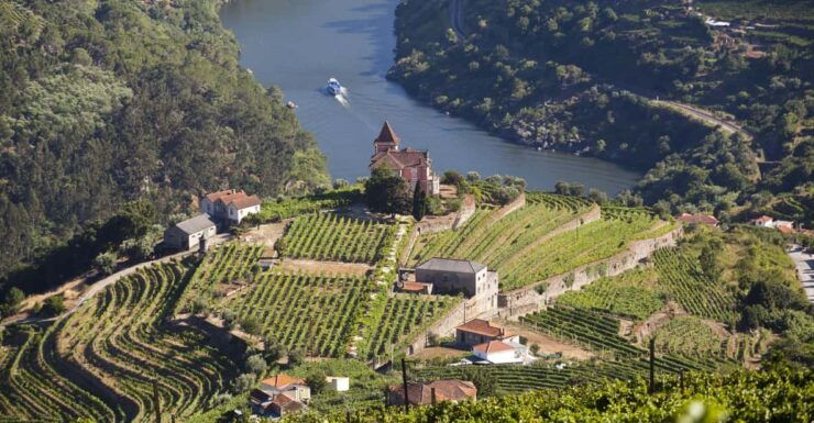 From Porto: Premium Douro Valley Small-Group Wine Tour - Experience Highlights