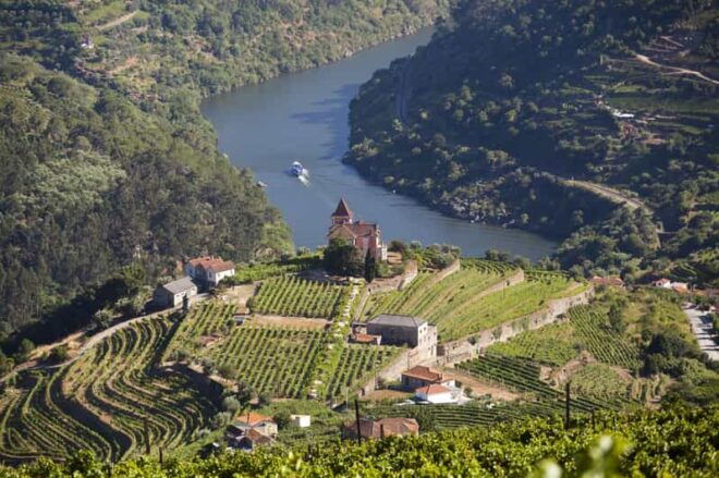 From Porto: Premium Douro Valley Small-Group Wine Tour - Tour Inclusions