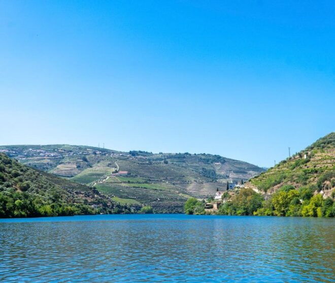 From Porto: Premium Douro Valley Small-Group Wine Tour - Language and Important Details