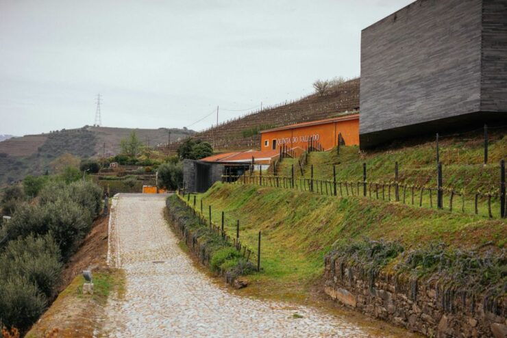 From Porto: Private City Escape to the Douro Valley Day Trip - Tour Experience