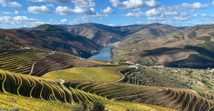 From Porto: Private Douro Valley Tour and Boat Cruise - Activity Details