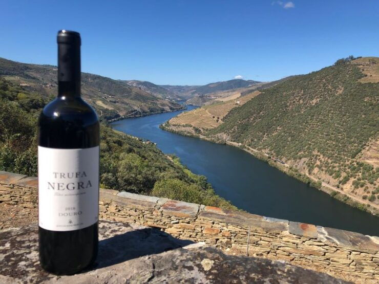 From Porto: Private Douro Valley Tour and Boat Cruise - Experience Highlights