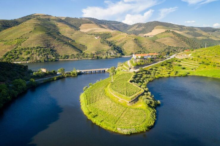 From Porto: Private Douro Valley Tour With Booking Service - Tour Experience