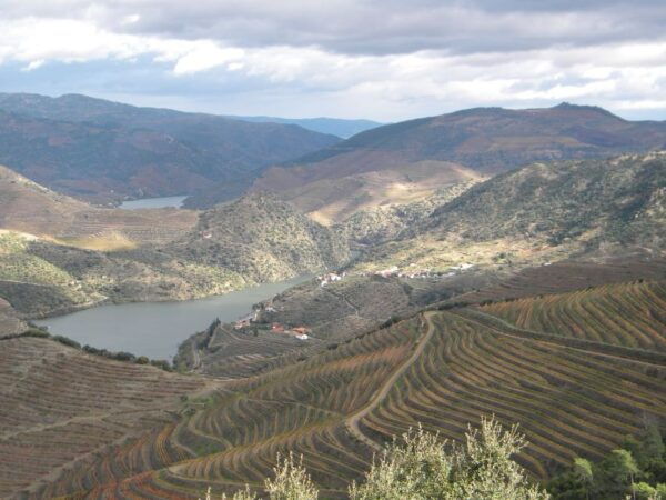 From Porto: Private Douro Valley Tour With Booking Service - Transportation and Value for Money