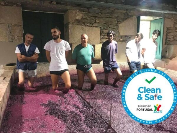 From Porto: Private Douro Valley Tour With Cruise and Wine - Common Questions