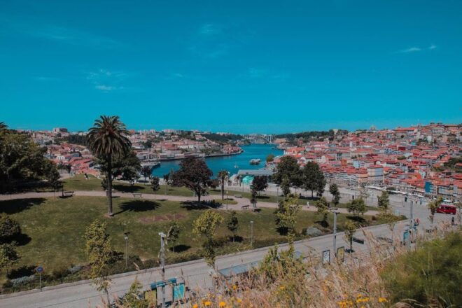 From Porto: Private Sightseeing Serra Da Estrela Tour - Indulge in Traditional Portuguese Cuisine