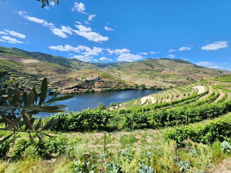 From Porto: Private Tour With 2 Wineries and Boat Ride - Tour Duration and Flexibility