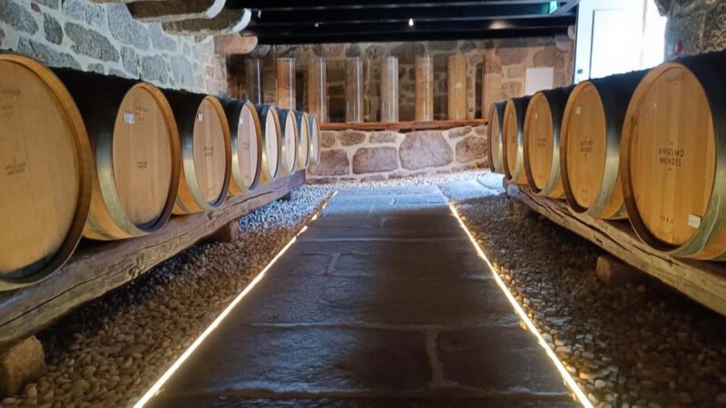 From Porto: Private Vinho Verde wine tour with tasting, lunch, and palace visit. - Additional Winery Visits and Final Tastings