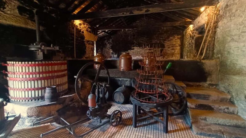 From Porto: Private Vinho Verde wine tour with tasting, lunch, and palace visit. - Transportation and Overall Comfort