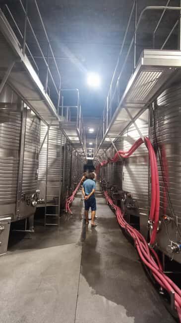 From Porto: Private Vinho Verde wine tour with tasting, lunch, and palace visit. - Who Will Love This Tour?