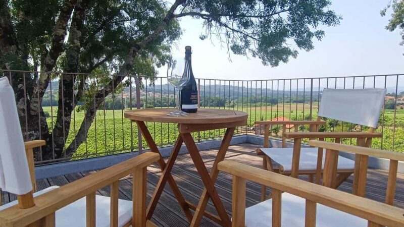 From Porto: Private Vinho Verde wine tour with tasting, lunch, and palace visit. - The Sum Up