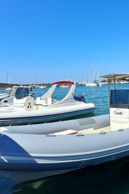 From Porto Rotondo: Half-Day Dinghy Tour in Costa Smeralda - Boat and Equipment