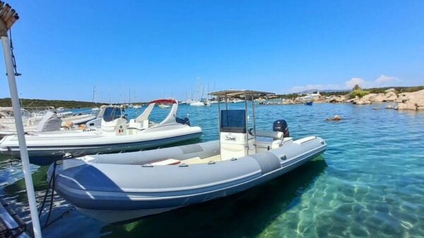 From Porto Rotondo: Half-Day Dinghy Tour in Costa Smeralda - Participant Requirements