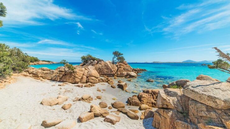 From Porto Rotondo: Private Dinghy Tour - Good To Know