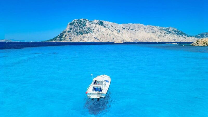 From Porto San Paolo: 4-hour boat tour to Tavolara - Good To Know