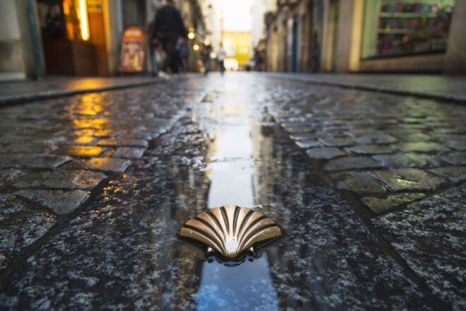 From Porto: Santiago De Compostela Full Day Tour - Full Description