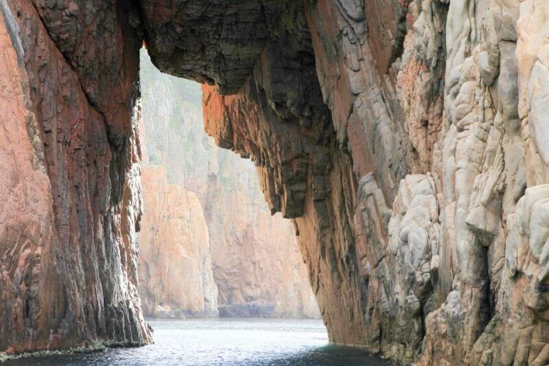 From Porto: Scandola and Calanche De Piana Boat Tour - Good To Know
