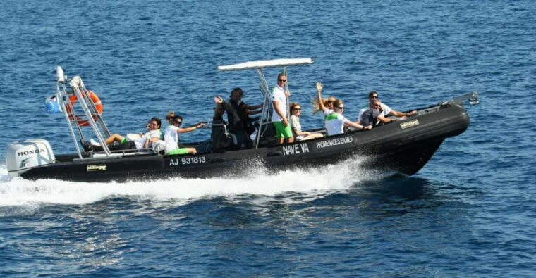 From Porto: Scandola and Calanche De Piana Boat Tour - Wildlife and Natural Features