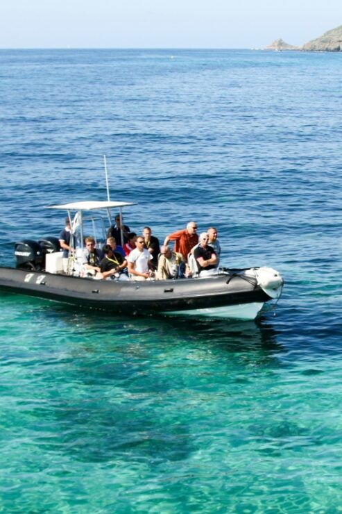 From Porto: Scandola and Calanche De Piana Boat Tour - Good To Know