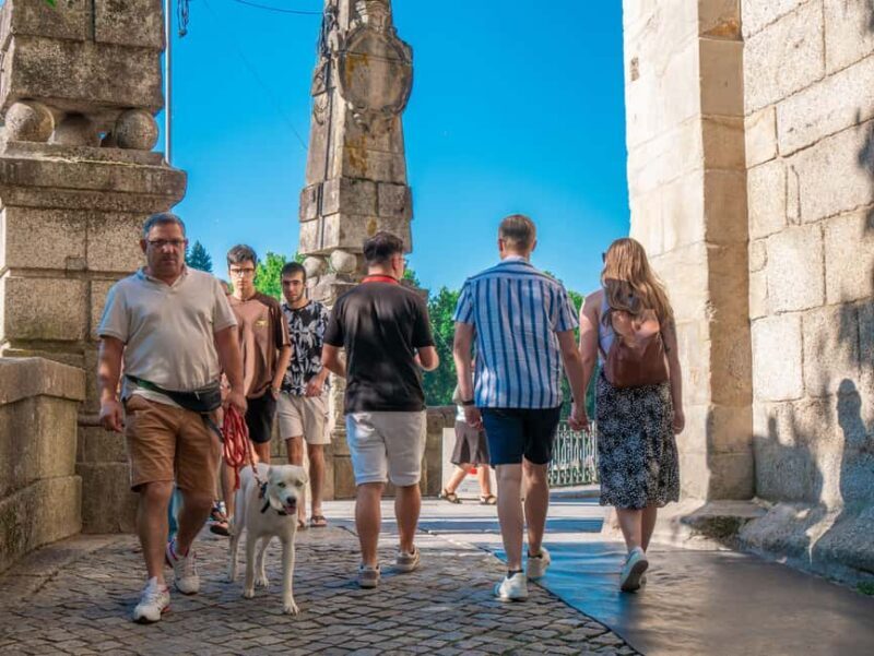 From Porto: Small Group Douro Valley Tour with Wine & Cruise - Authentic Insights from Reviewers  