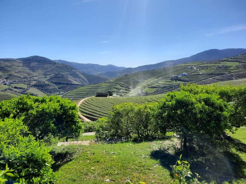 From Porto: small-group guided tour of the Douro Valley and Gerês - Discovering Gerês: Waterfalls, Lagoons, and Mountain Views
