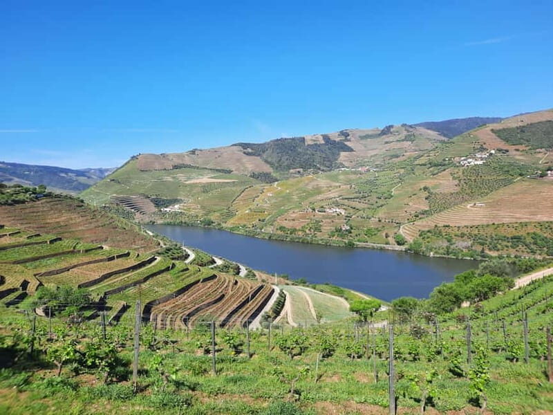 From Porto: small-group guided tour of the Douro Valley and Gerês - Practical Details and Comfort