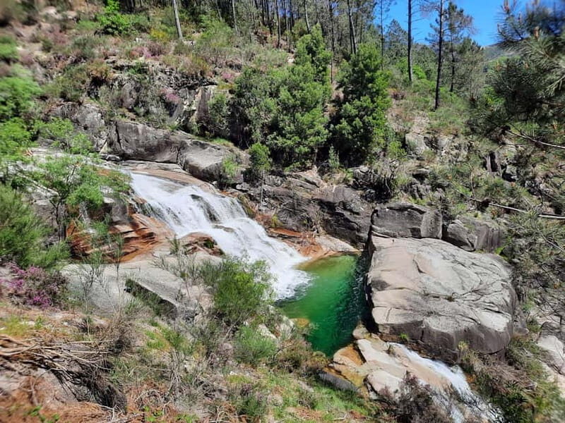 From Porto: small-group guided tour of the Douro Valley and Gerês - Who Will Love This Tour?