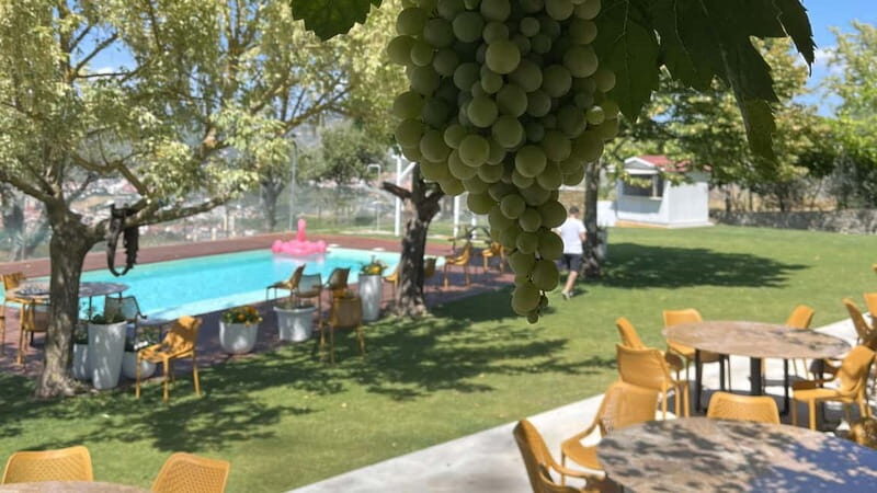 From Porto: Tastings at 2 Wineries, Chef's Lunch & Boat Tour - Final Thoughts