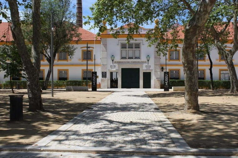 From Porto to Aveiro & Costa Nova: 1-day pass (Small Groups) - The Canal & Moliceiro Experience