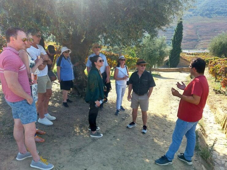 From Porto to Douro Valley, Unesco World Heritage - Itinerary Overview