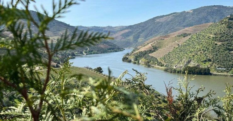 From Porto to Lisbon With Stop in Douro Valley - Good To Know