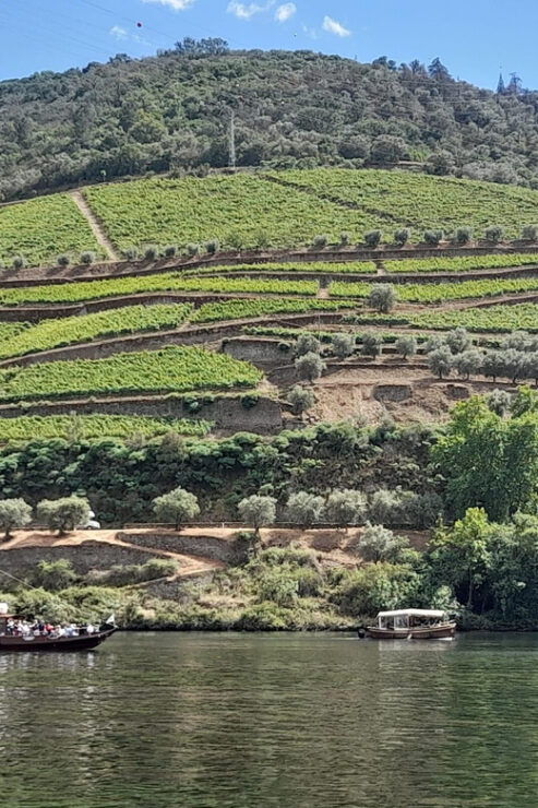 From Porto to Lisbon With Stop in Douro Valley - Booking Information