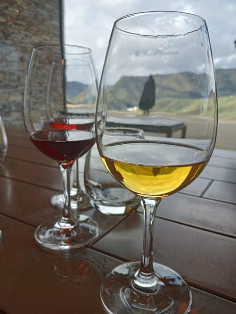 From Porto to Lisbon With Stop in Douro Valley - Experience Highlights