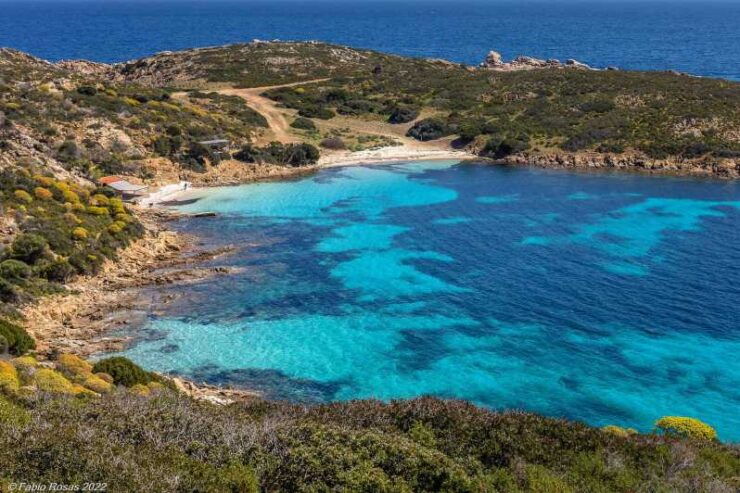 From Porto Torres: Electric Bicycle Rental - Good To Know