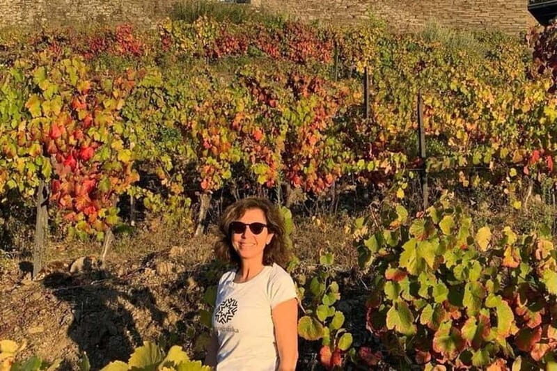 From Porto: Valle del Duero Full-Day Private Tour - A Closer Look at the Itinerary