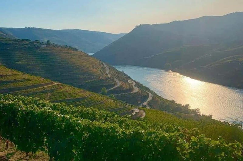 From Porto: Valle del Duero Full-Day Private Tour - Practical Considerations and Tips