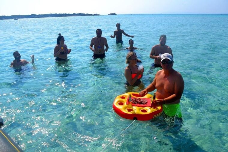 From Porto Vecchio EMOTION Boat Trip Lavezzi and Bonifacio - Adventure at Cerbicales Islands